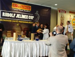 Jelinek CUP 2011
